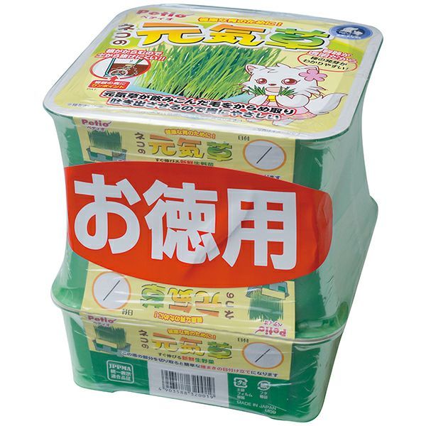 同梱不可 12個セット ペティオネコの元気草3コパック
