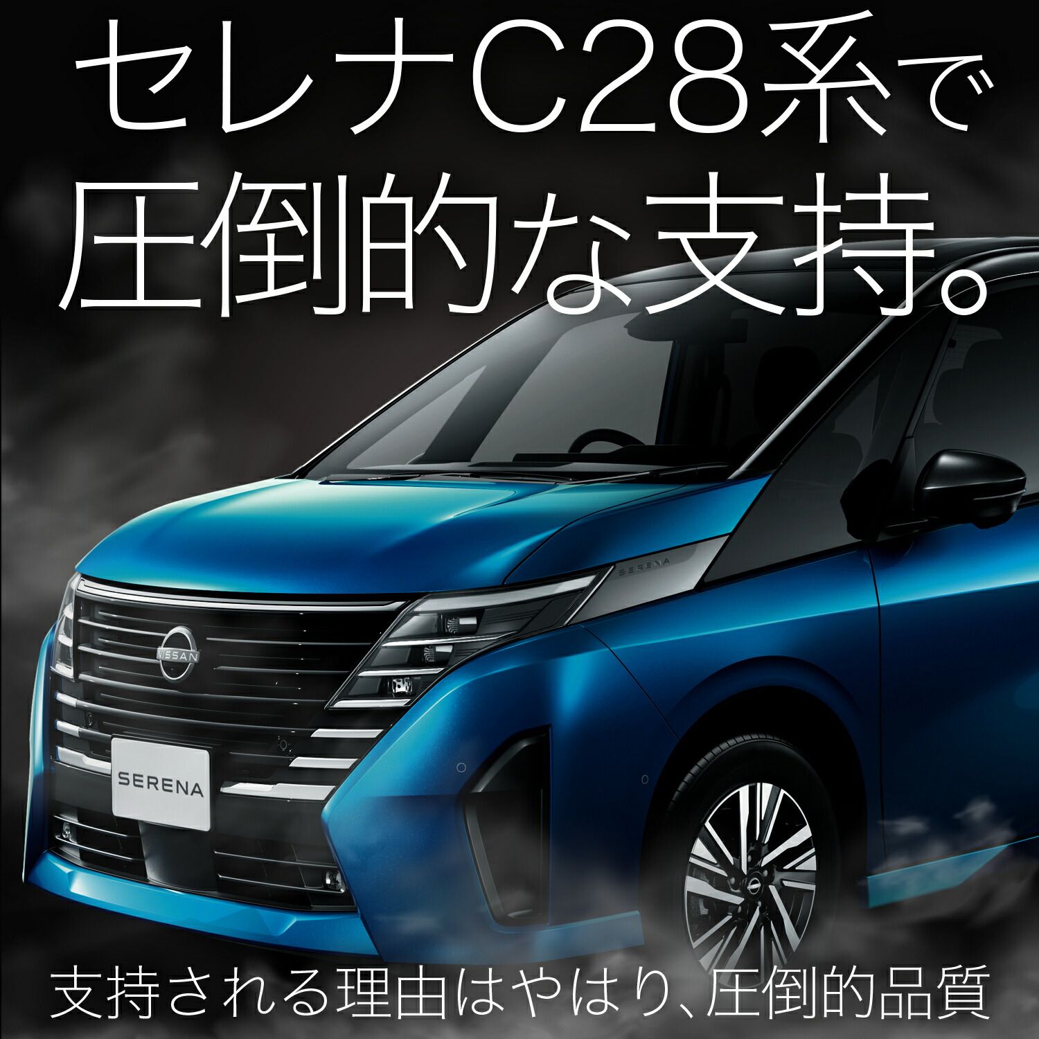 ブラック 厚地