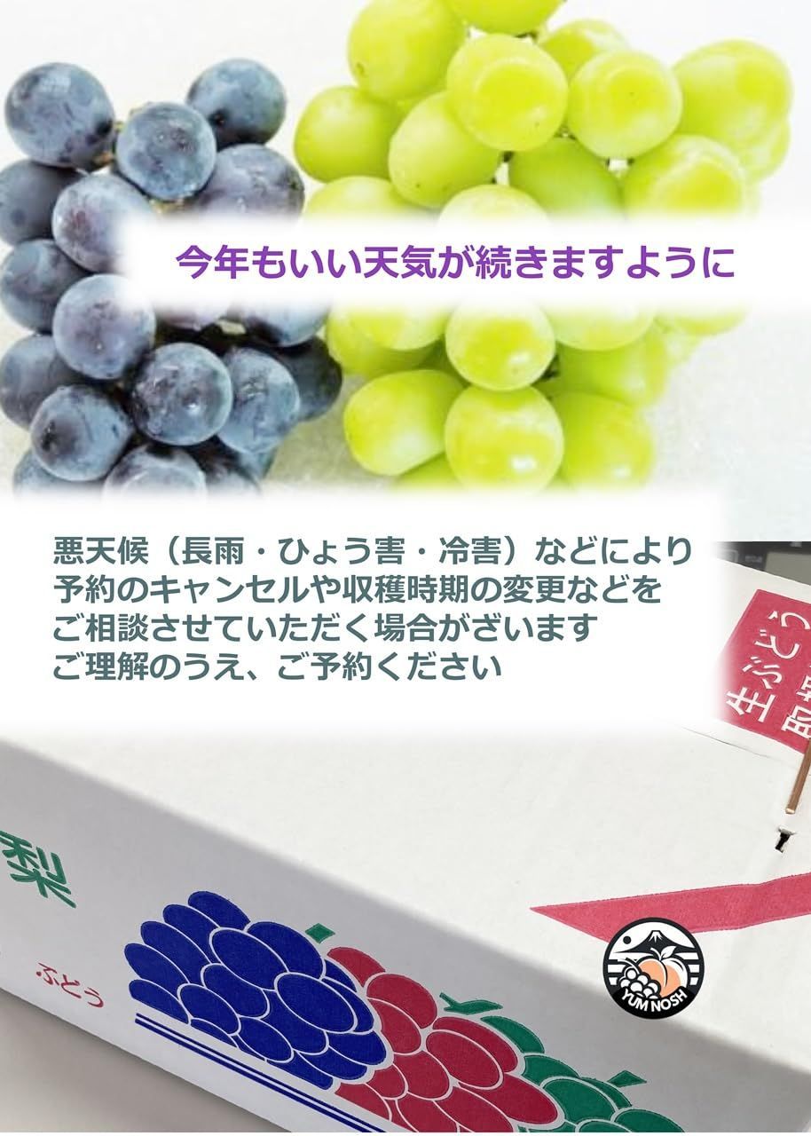 2〜3房入り