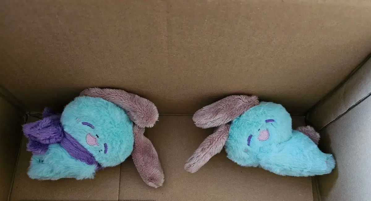 アンスタプロパティ ） タツマヨ 風早 巽 礼瀬 マヨイ 付属 ぬい