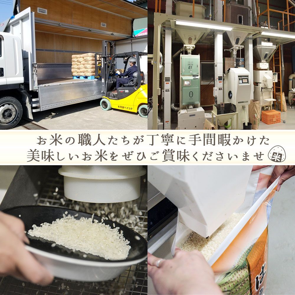 山形県産 ひとめぼれ 20kg (R6年産) 無洗米/白米/玄米 - メルカリ
