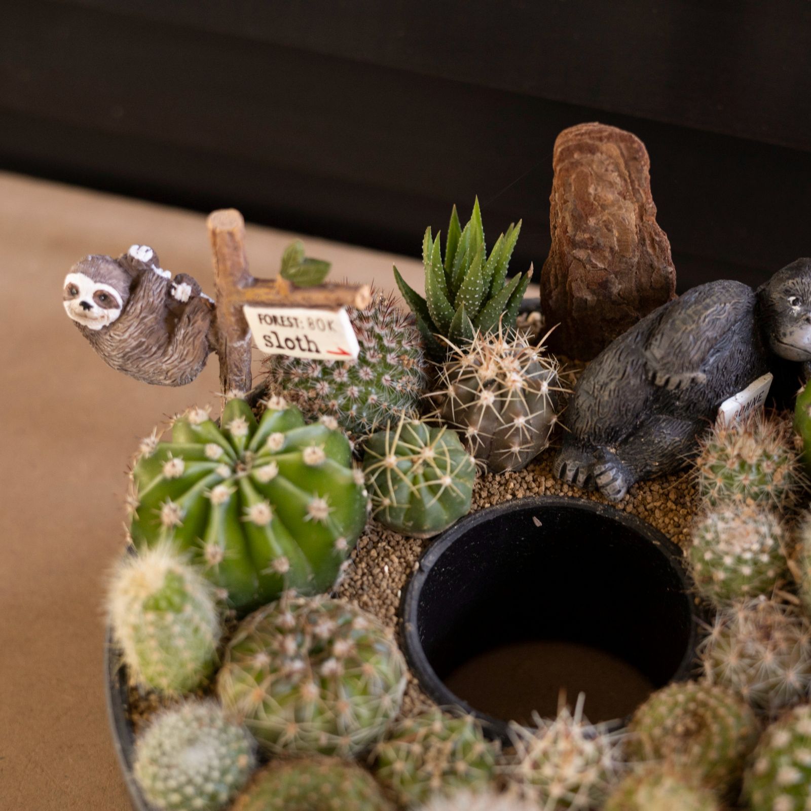 多肉植物　寄せ植え　リース 多肉植物寄せ植え ギャザリングリースSサイズ20cm その他