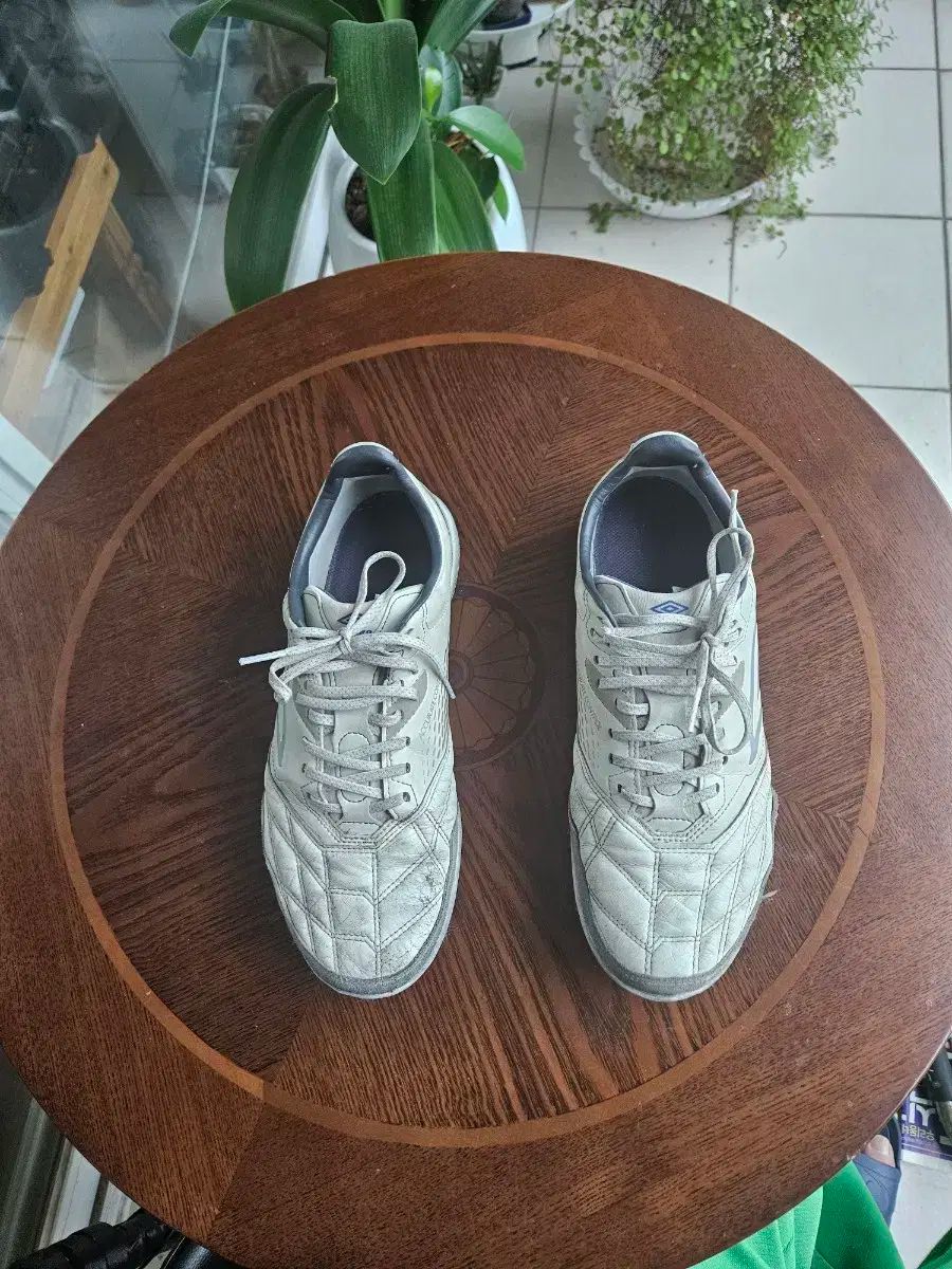 umbro アンブロ 復讐 v4 270 tf サッカーシューズ