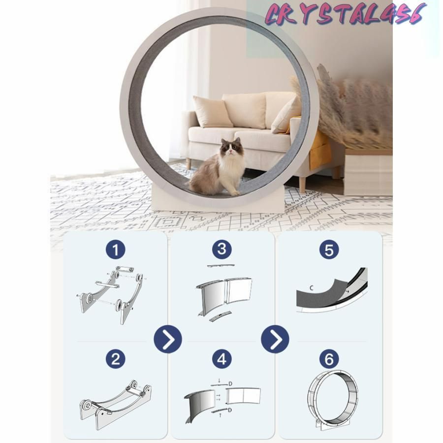 猫のトレッドミルの車輪