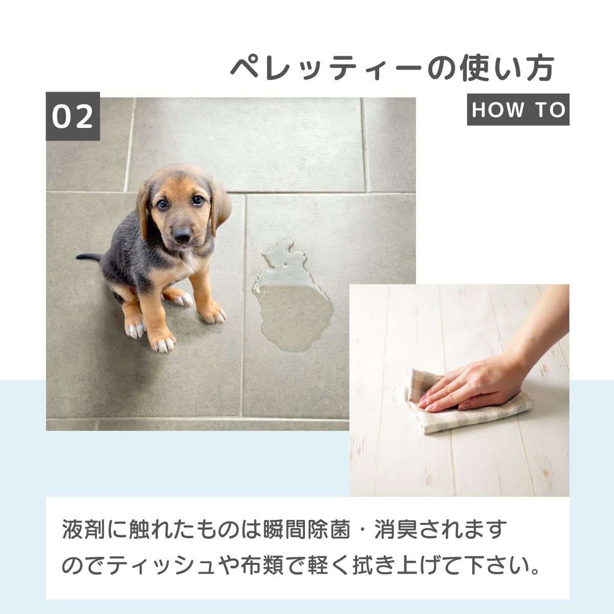 正規品】獣医師が使うペット用消臭剤 Peletty｜ペレッティー 500ml