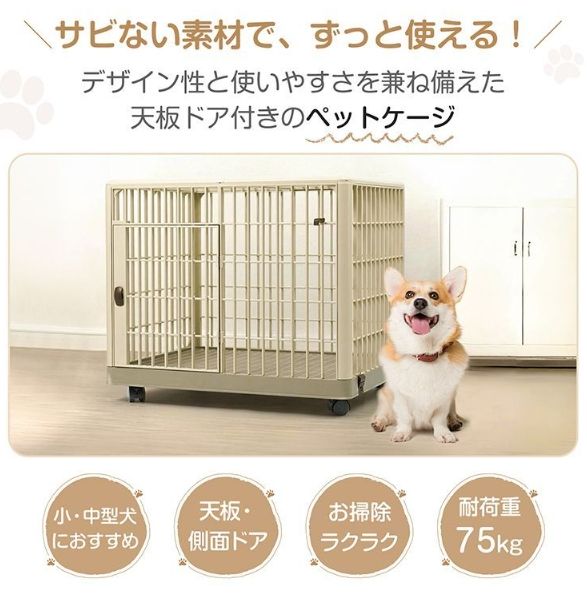 ドア 2ドア