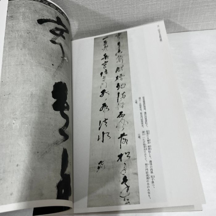 書法54 中国法書選 第五十四巻 俔元王路(ロ）集[明]｜書道用品の半紙や
