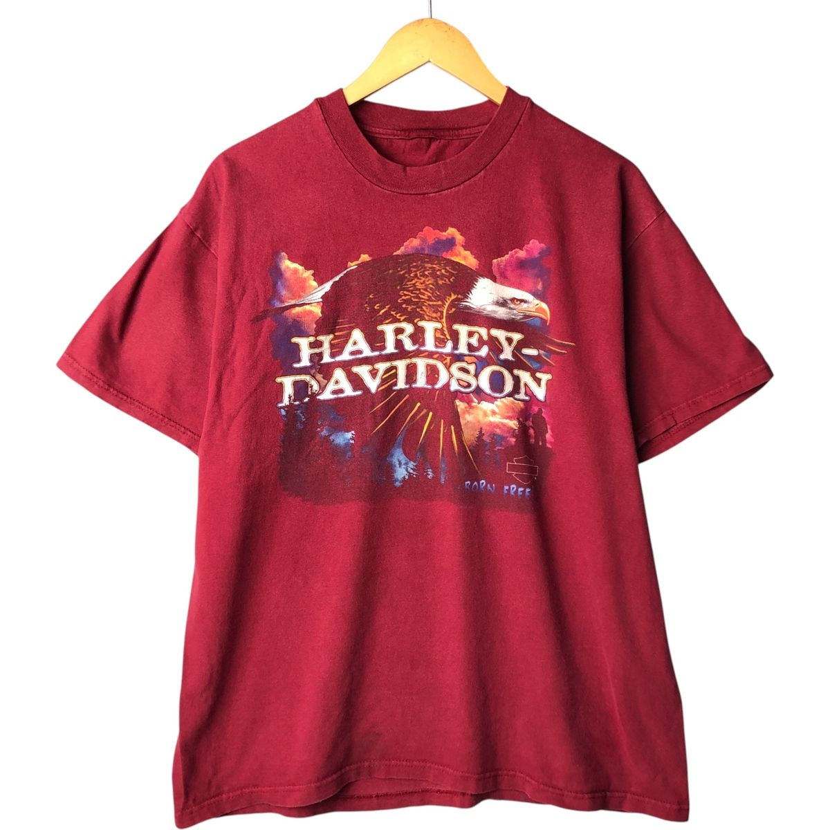 古着 90年代 ハーレーダビッドソン Harley-Davidson 鷲柄 イーグル柄 モーターサイクル バイクTシャツ メンズL相当|eaa570215