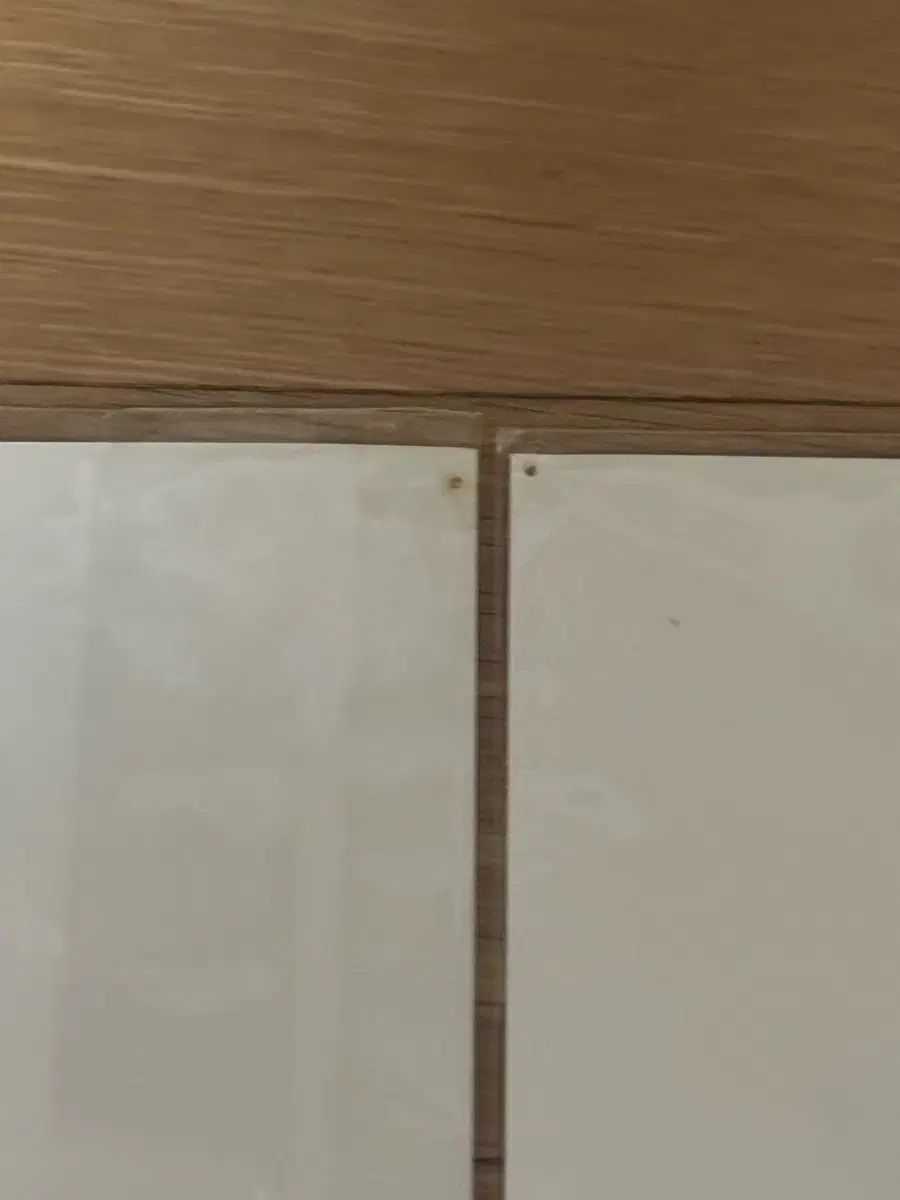 グビスクドルは恋をしている