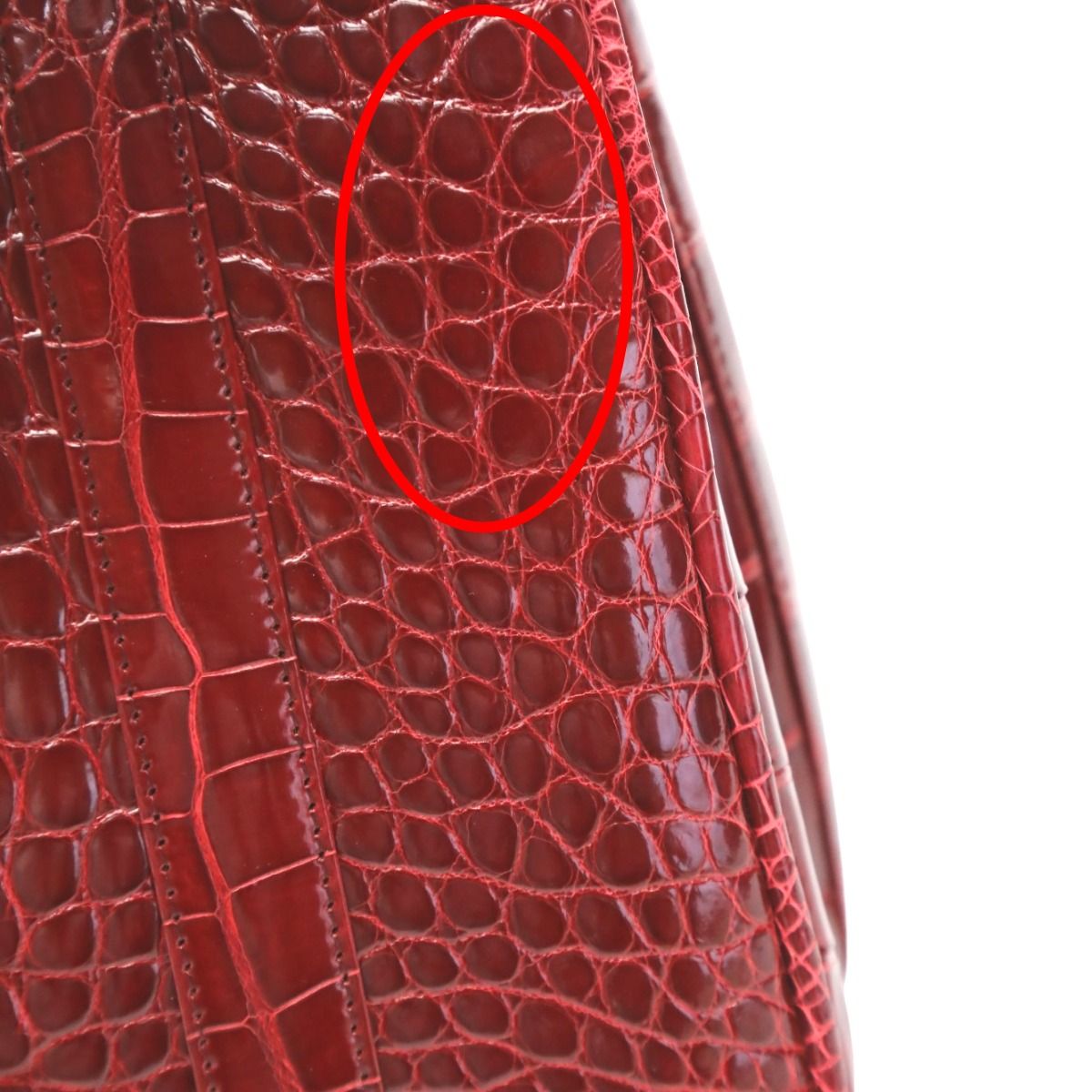 クロコダイル レザー 2WAYバッグ クロコ ハンドバッグ CROCODILE 