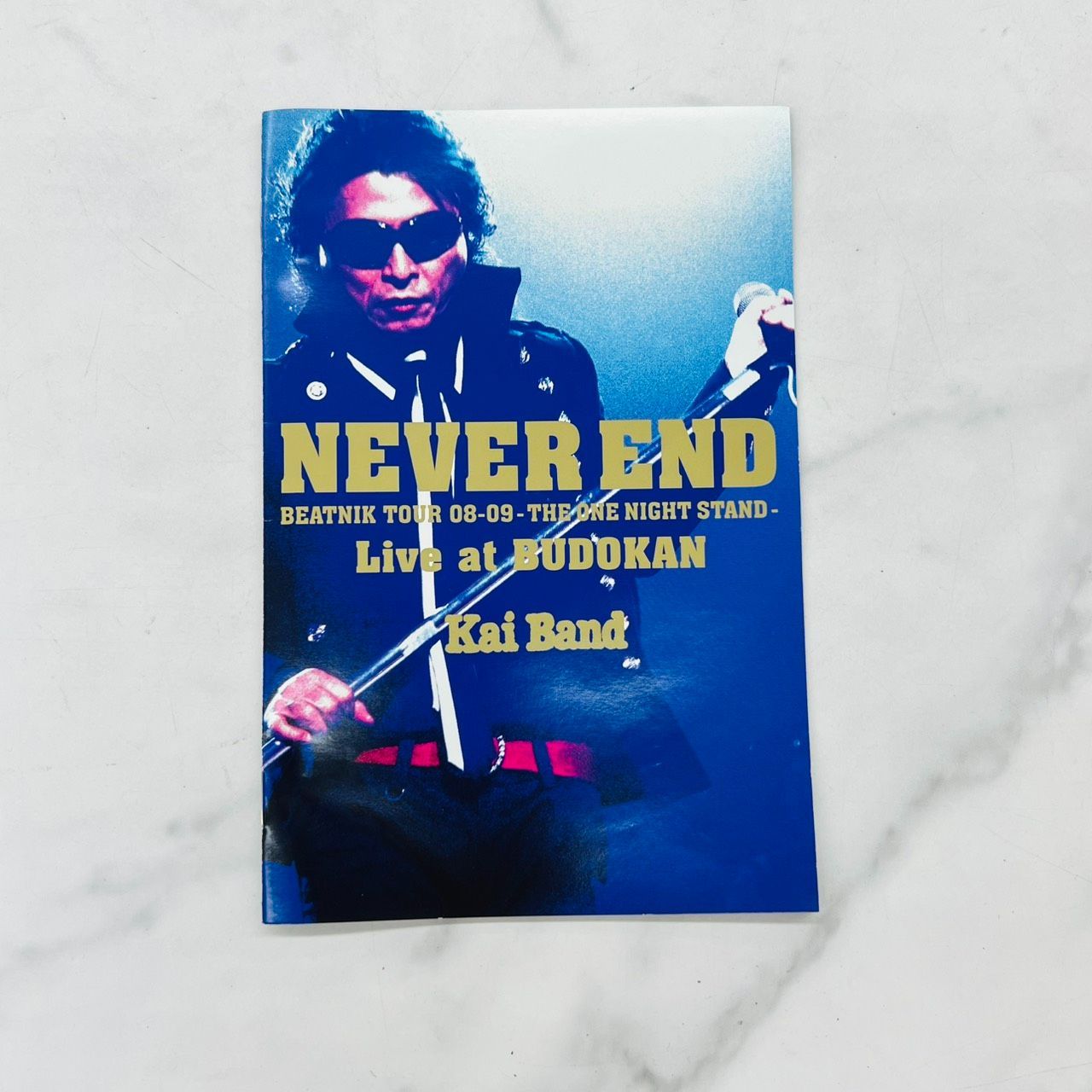 甲斐バンド NEVER END BEATNIK TOUR 08－09 －THE ONE NIGHT STAND