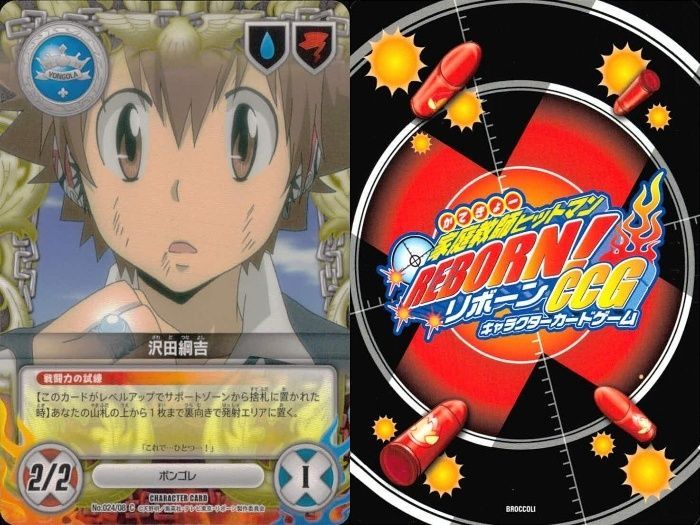 ux65 家庭教師ヒットマン REBORN! リボーン カード まとめ 沢田
