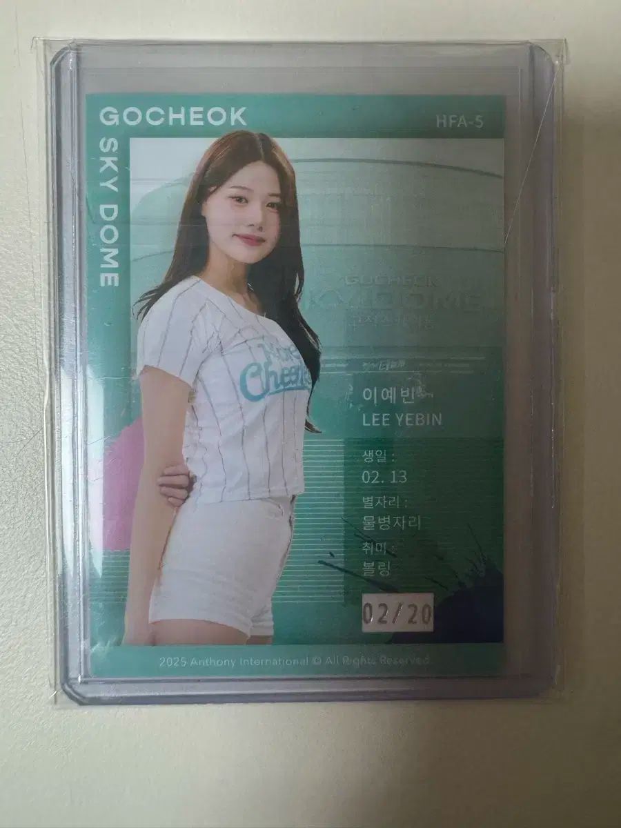 韓国 チアリーダー カード イーエ 20 オート WWW_OLIVIERBERNSTEIN_COM