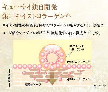セット