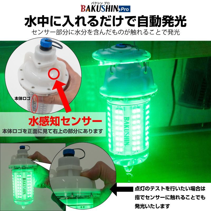 白 ライト