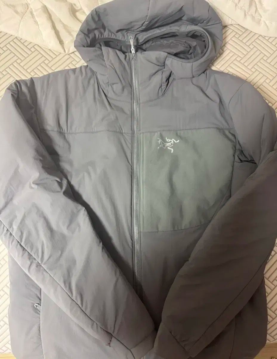 L 21 FW アークテリクス プロトン LT フーディ マイクロチップ