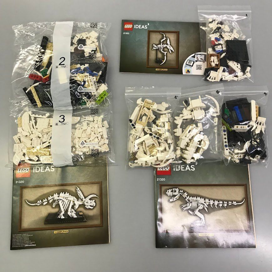 正規品 LEGO レゴ アイデア 21320 恐竜の化石 HD-067-C 未開封内袋あり IDEAS ティラノサウルス トリケラトプス プテラノドン  371 - メルカリ