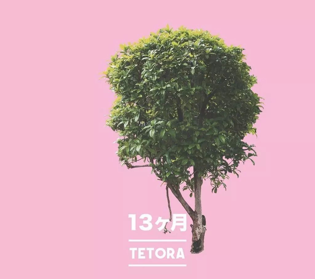 邦楽 TETORA CD 中古】邦楽CD TETORA / 13ヶ月 - メルカリ