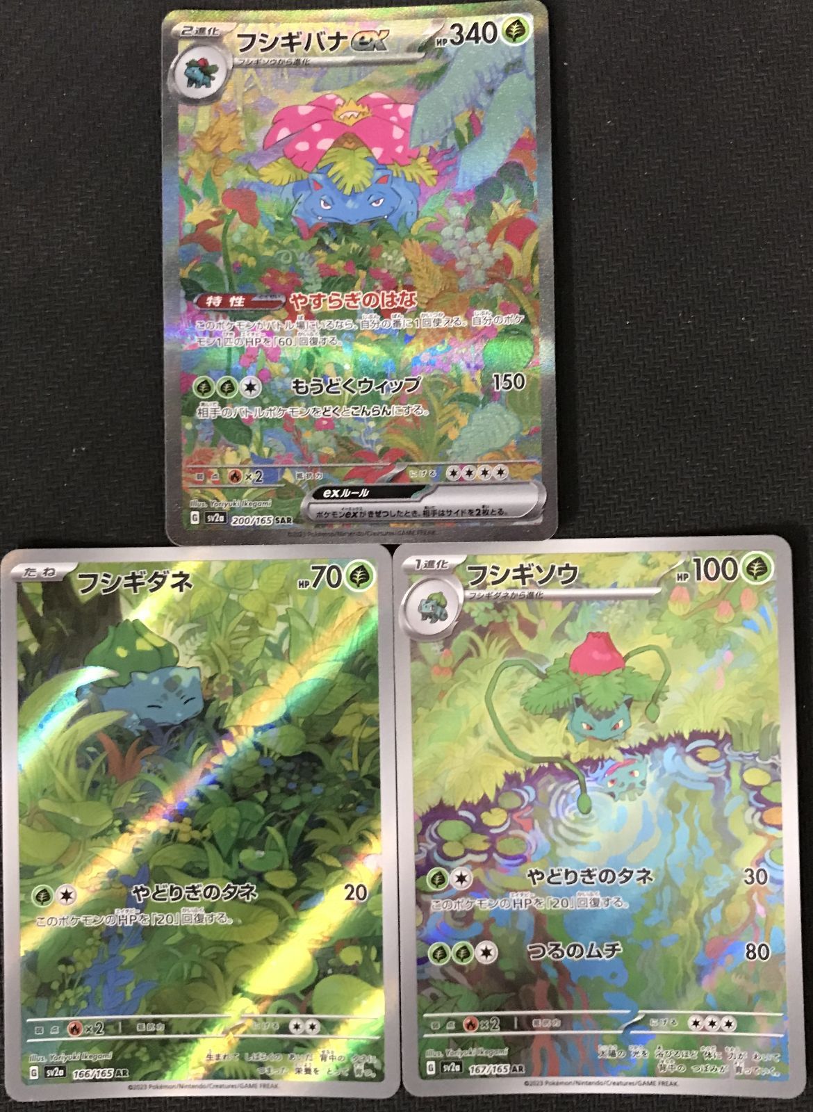 ポケモンカード フシギバナEX SAR/フシギソウ AR/フシギダネ AR