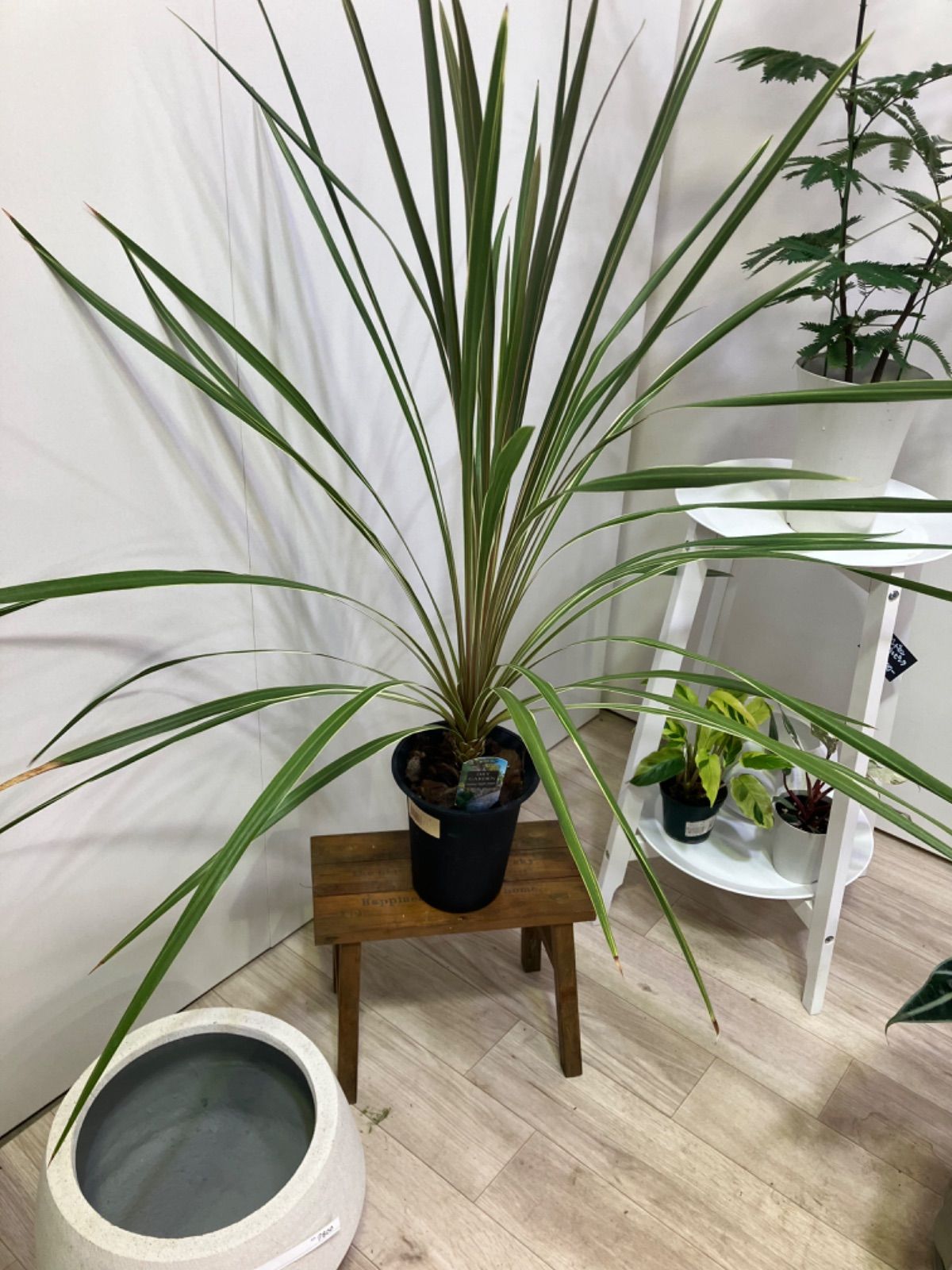 光触媒 人工観葉植物 ウォールグリーン フェイクグリーン ライト