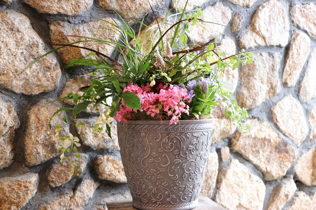 当店オリジナル 秋の草花のエレガントスタイル寄せ植え 現品１９１