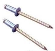 ロブテックス エビ ブラインドリベット 1000本入 スティール 5-5 NS 55 1259474