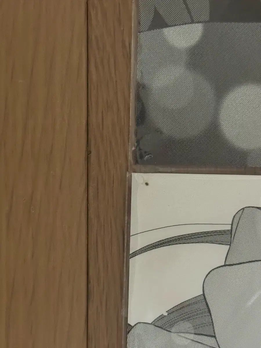 展示会 ウォンファシートペーパー