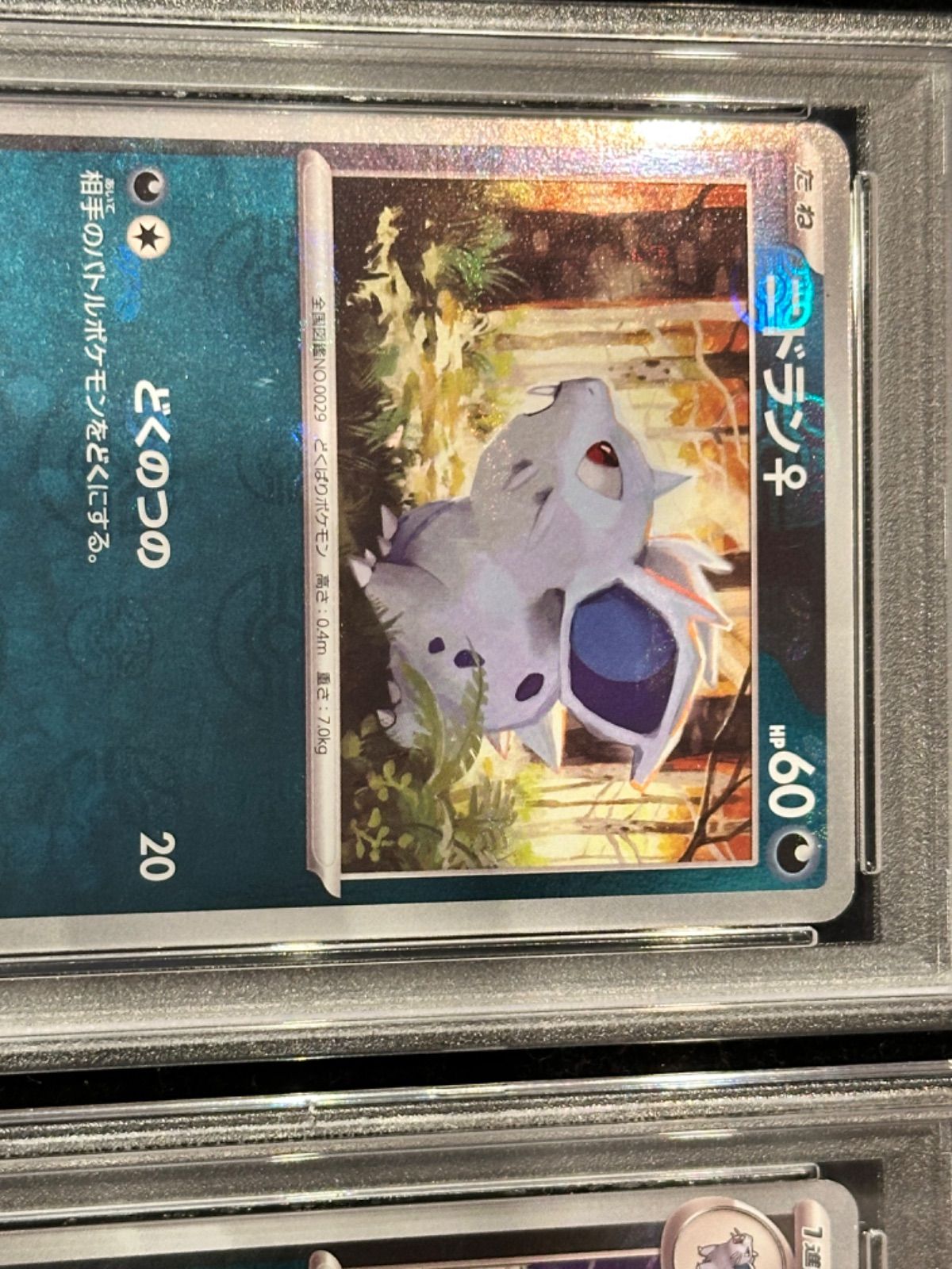 人気 連番 〔PSA10鑑定済〕ニドラン♀(マスターボールミラー)【C】{029/165