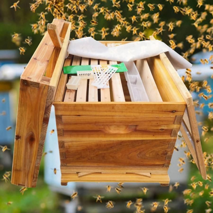 ミツバチ 巣箱 養蜂箱養蜂器具蜂の巣の完全なキット蜂蜜蜂の巣箱 セット蜜蜂巣箱 10フレーム 蜜蜂の巣箱と道具 蜂蜜キーパー みつばち巣箱 耐久性のあります防水