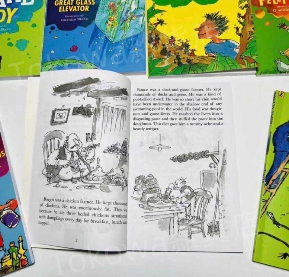 新品 Roald DAHL collection 24冊 洋書 英語 洋書 sh7 - メルカリ