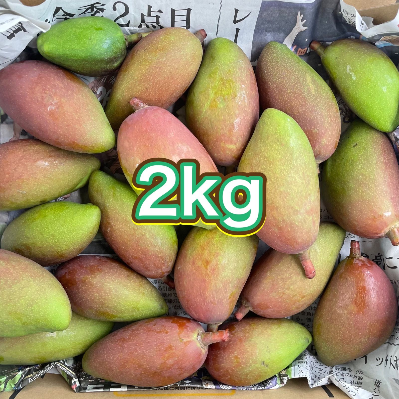 沖縄県産 摘果マンゴー 青マンゴー グリーンマンゴー2kg - メルカリ