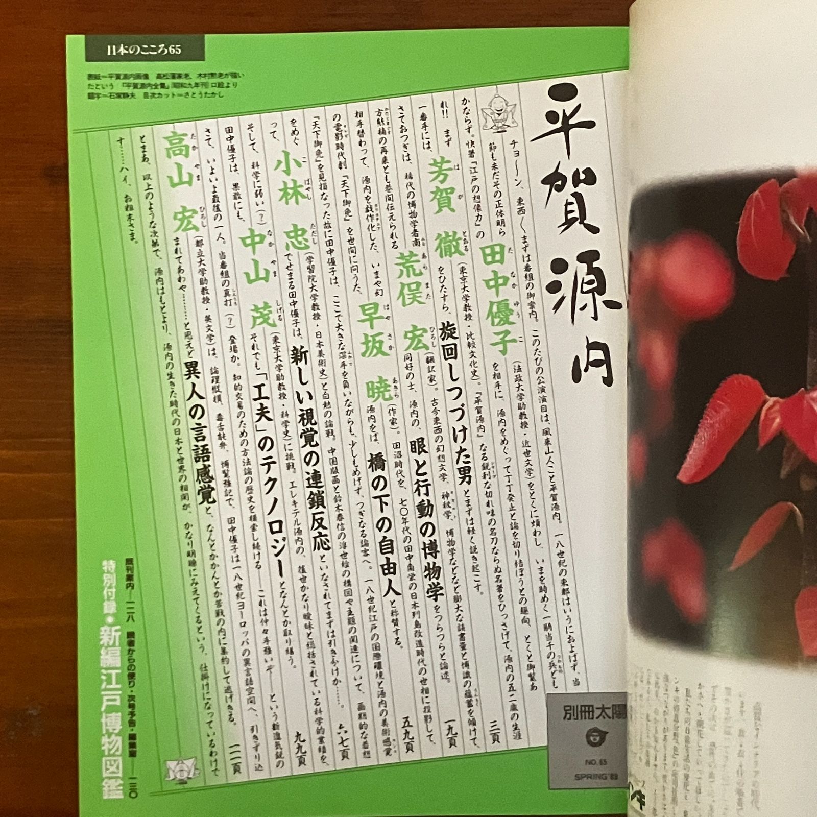 別冊太陽 平賀源内 監修田中優子 芳賀徹 荒俣宏ほか文 1989年4月 別冊太陽 平賀源内 監修田中優子 芳賀徹 荒俣宏ほか文 1989年4月