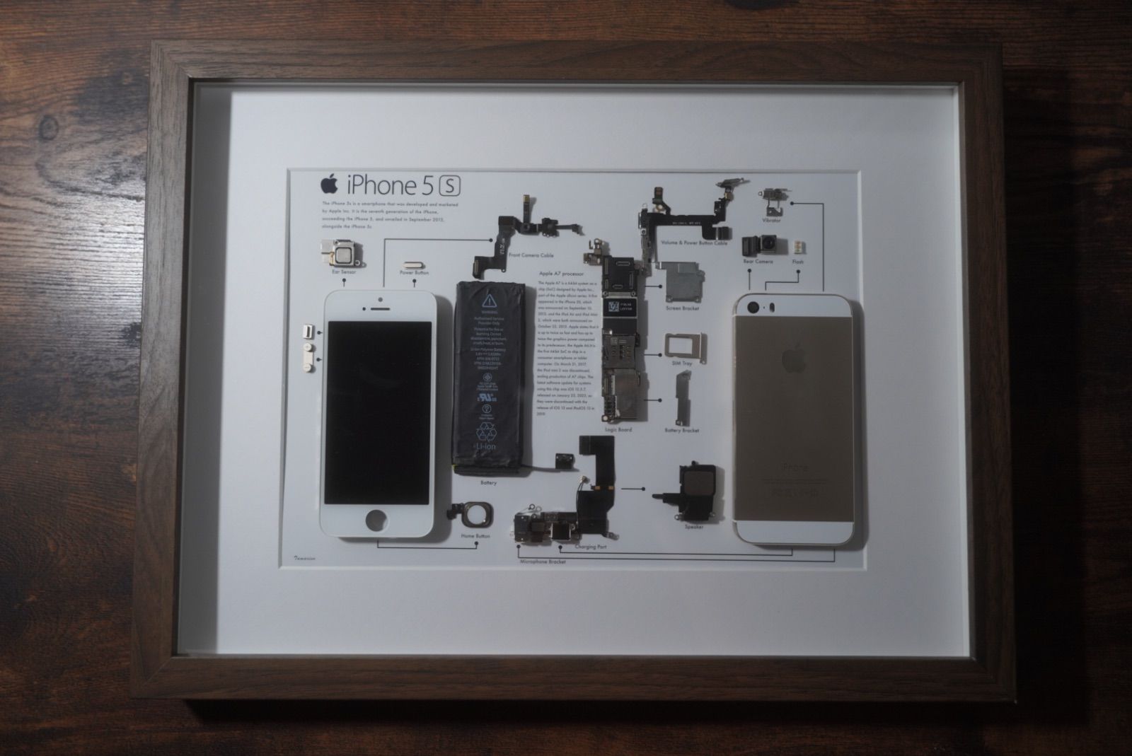 iPhone5s 分解アート 標本アート 一点もの iPhone 5s Black 分解アート