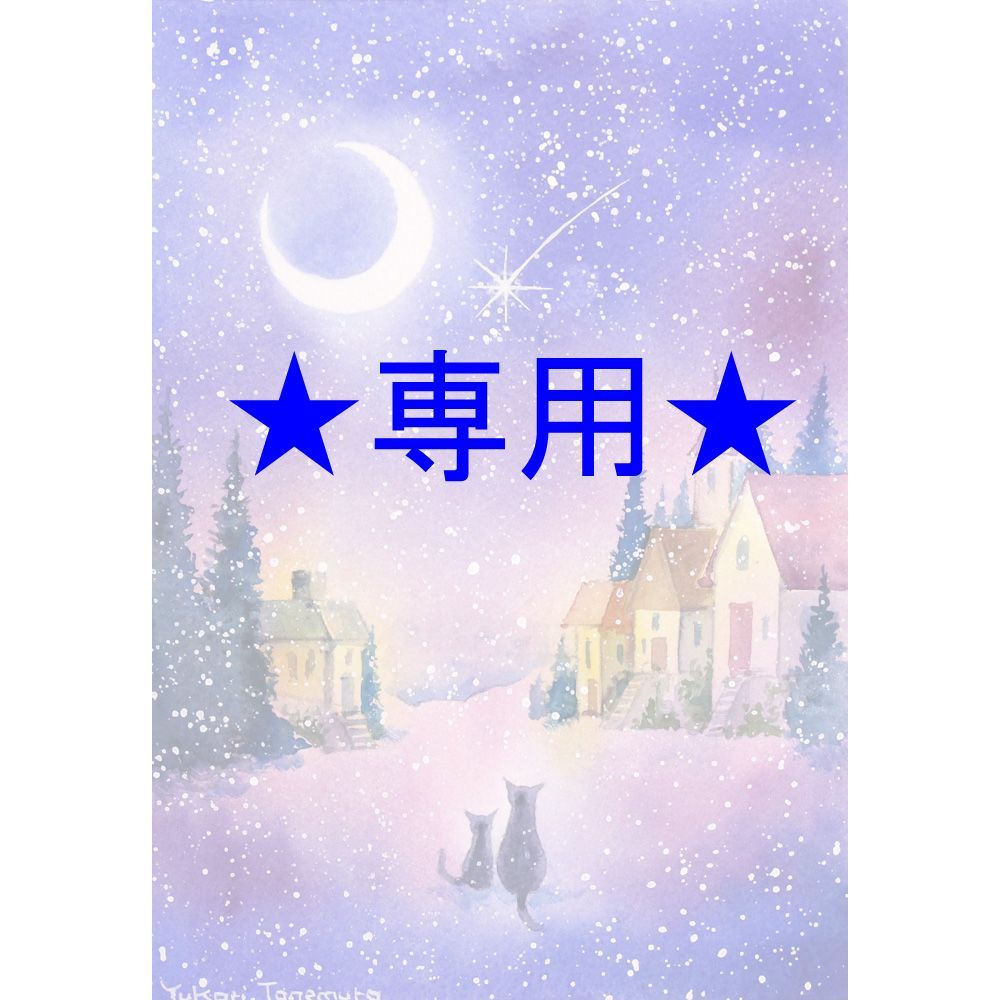 RUKURUKUさま 原画 初雪の舞 A5サイズ 水彩画 2715