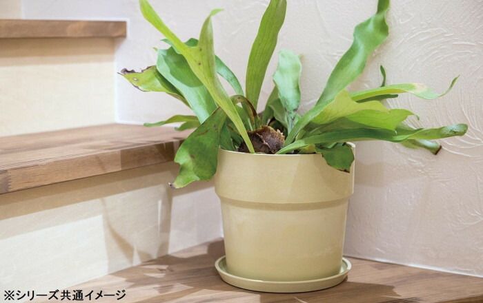 81066 アーバンプランツポット ソリッド セサミ