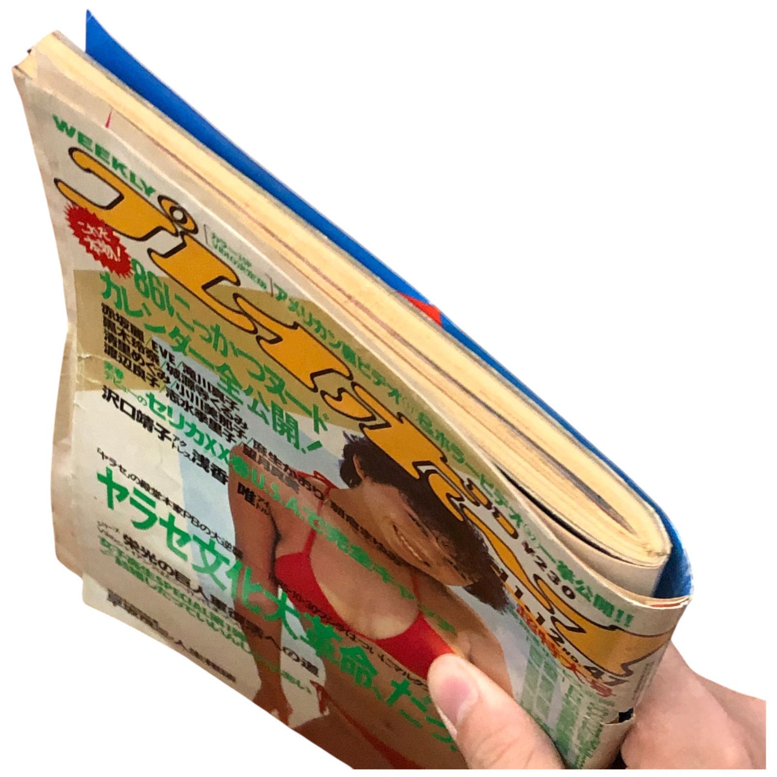 週刊プレイボーイ 1985年11月12日号 No.47 集英社 ☆グラビア