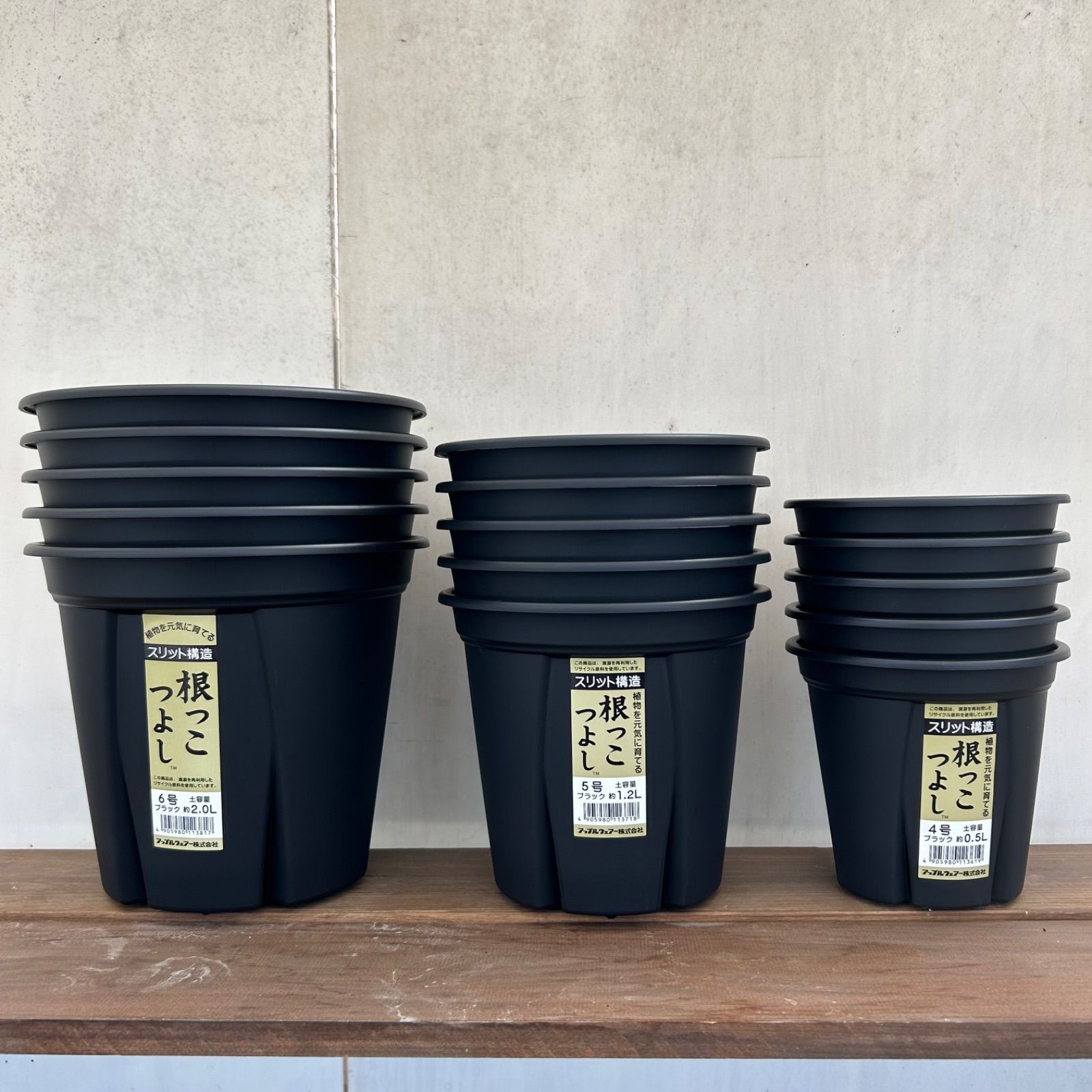 【長期育成株】宝珠　根っこつよし5号　鉢ごとメルカリ便発送 長期育成株】宝珠 根っこつよし5号 鉢ごとメルカリ便発送