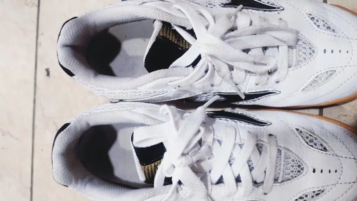  ミズノウェーブドライブ 8 卓球バドミントン スポーツ大学入試 235 その他 卓球