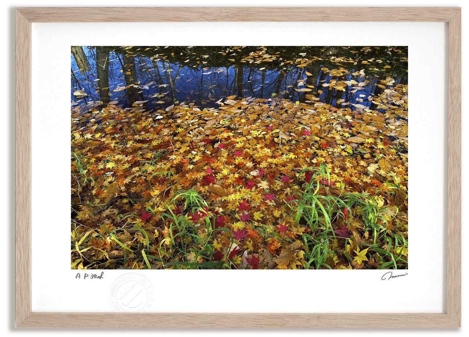 ディズニー 生誕 100周年 記念 1500枚限定 キャンバス ポスター 楽天