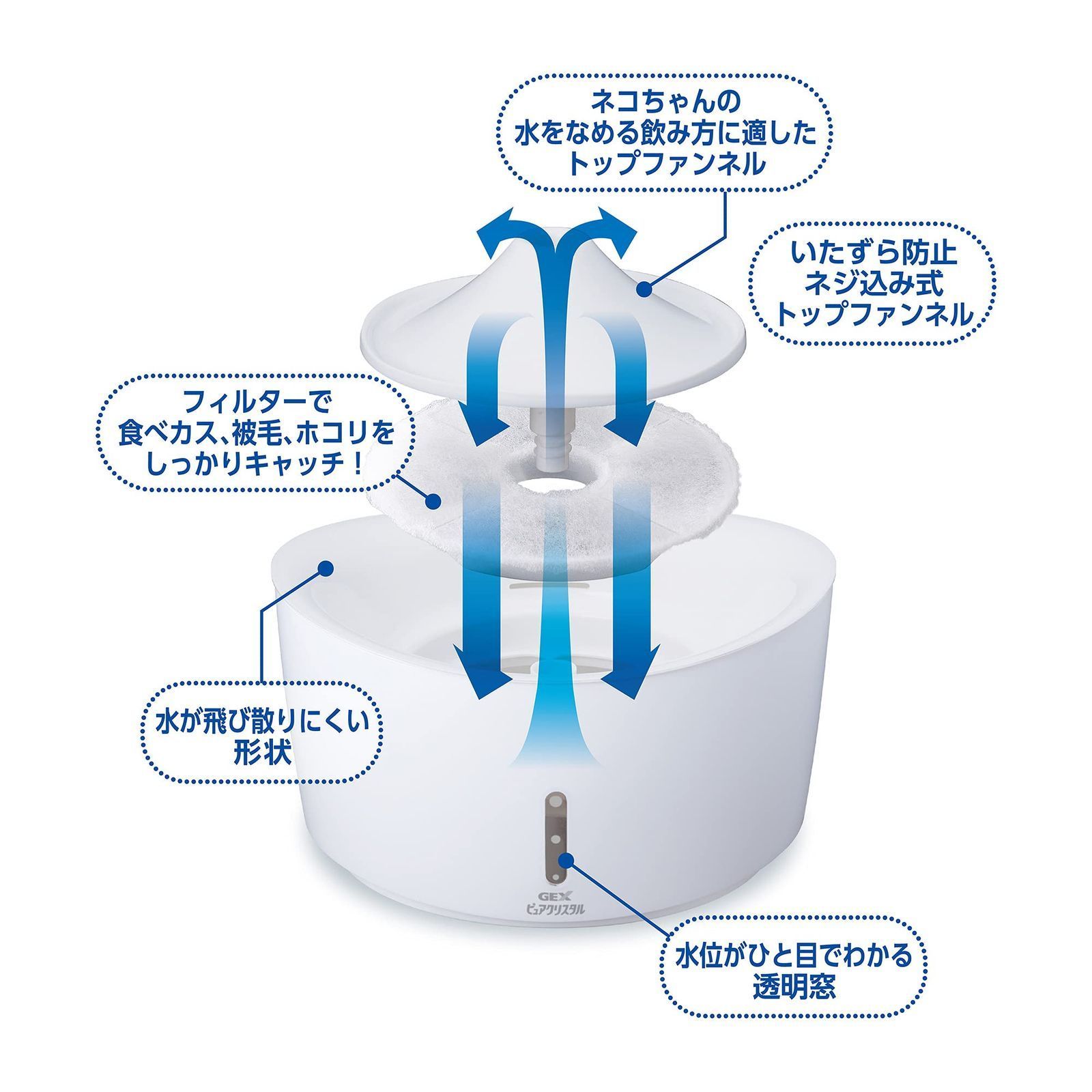 下部尿路の健