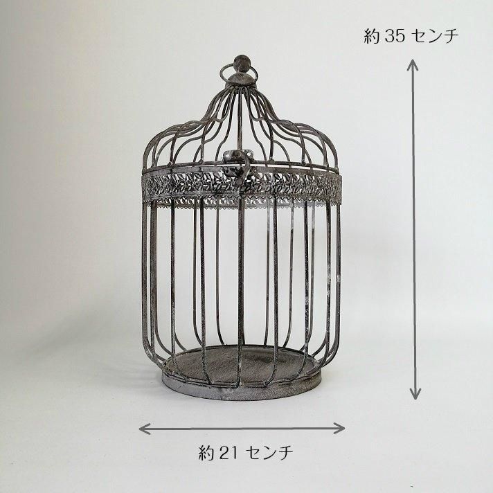 鳥かご　ガーデニング雑貨 ガーデニング 雑貨 プランツケージ バードケージ 鳥かご 庭 ガーデン