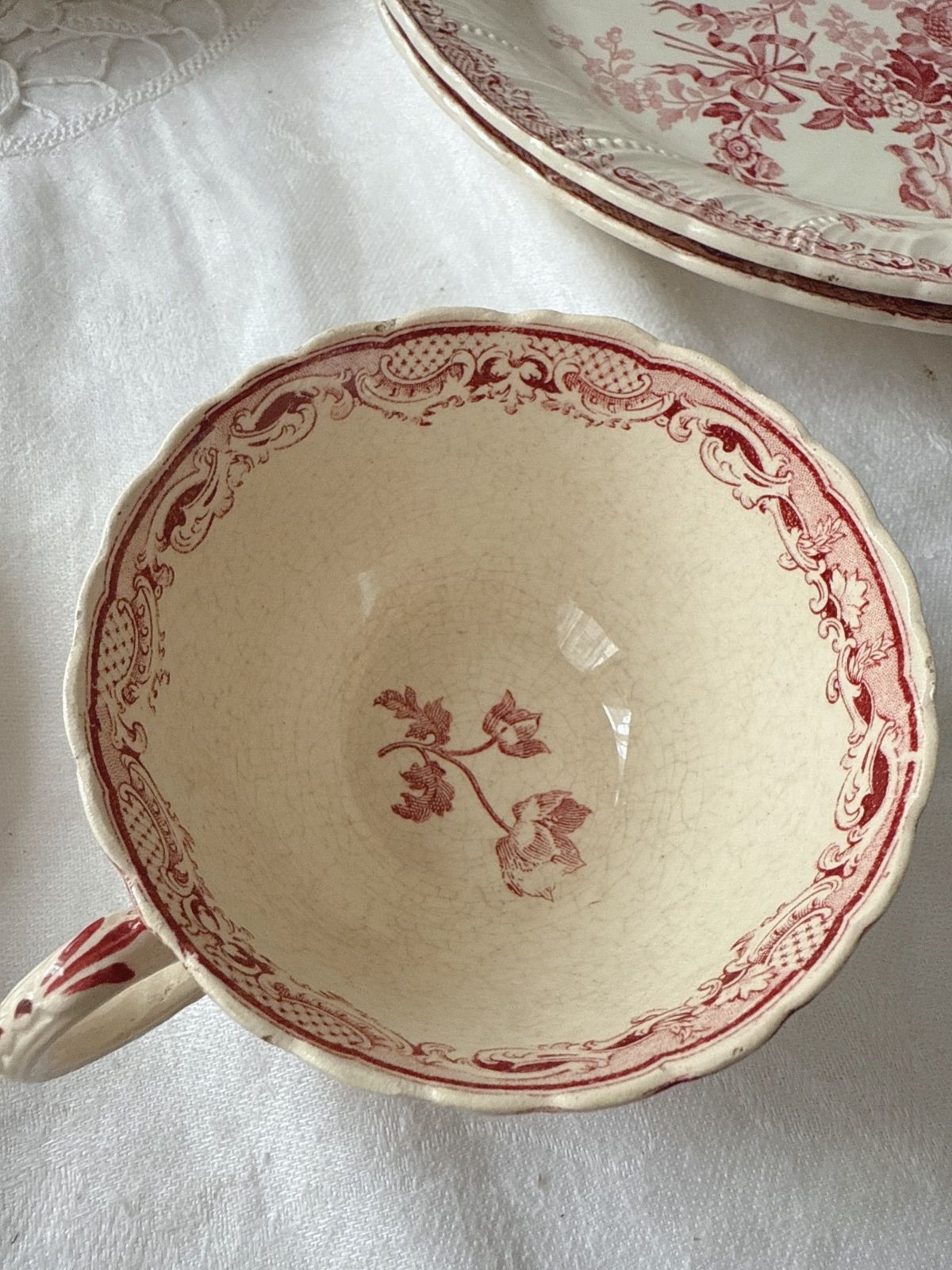 Sarregumines Fontanges サルグミンヌ フォンタンジュ ティーカップ