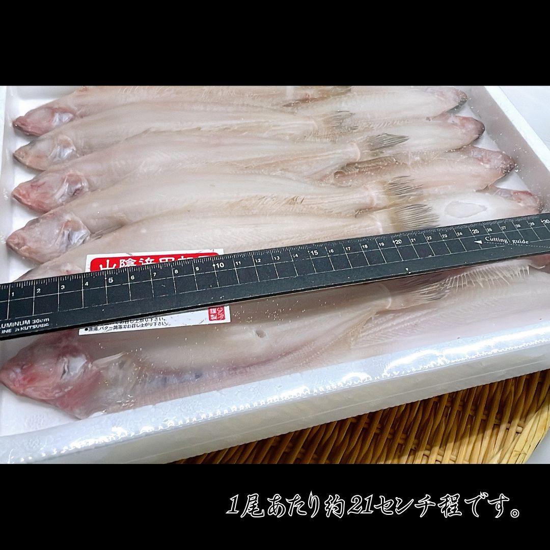 干物
