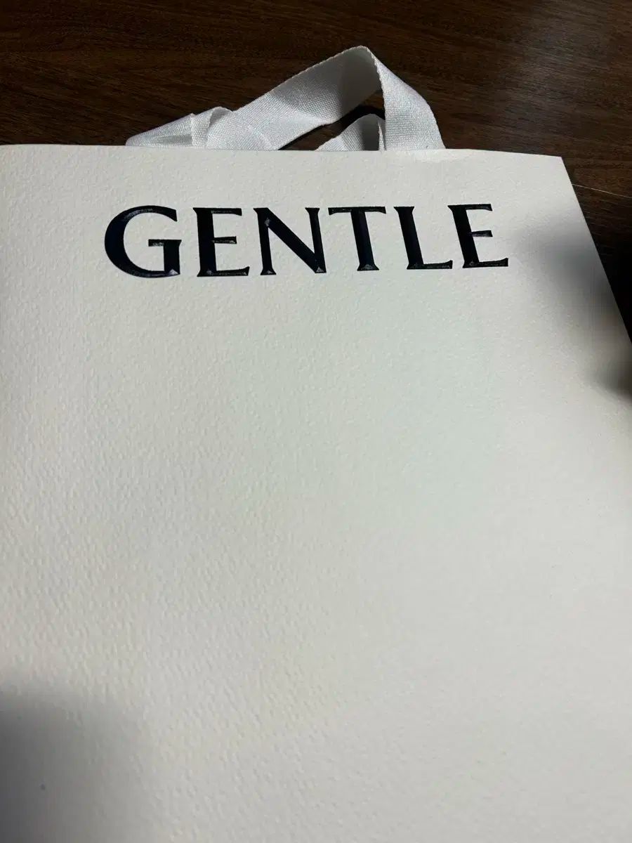 GENTLE ジェントルモンスター メガネケース シルバー ショッパー 