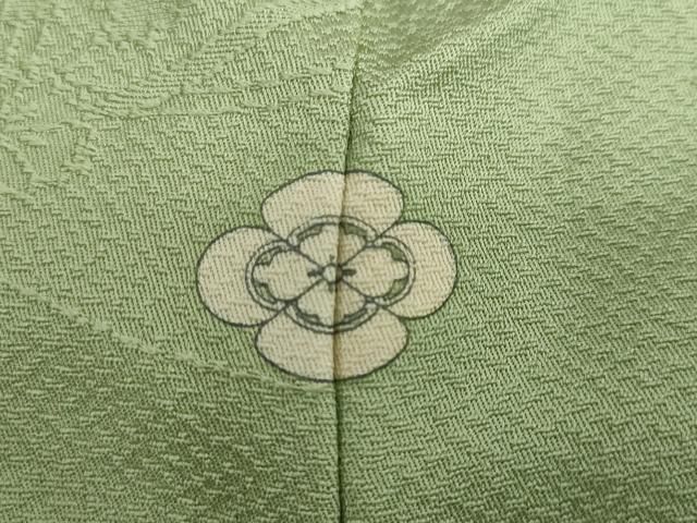 苗色 さが美扱い