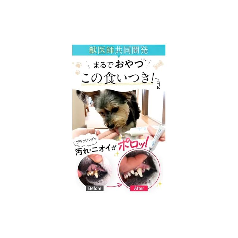 ドクターデンタルワン 犬 歯磨き 歯ブラシ 歯磨きジェル 犬用 はみがき Dr. Dental Wan 30 g 歯ブラシセット