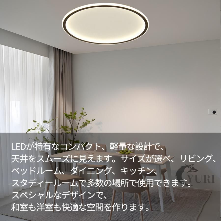 天井照明 北欧