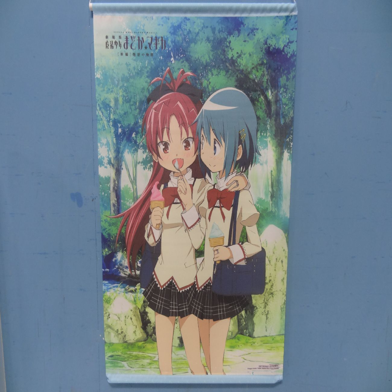 劇場版 魔法少女まどか マギカ 美樹さやか 佐倉杏子 B2
