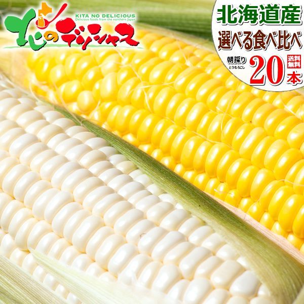 【予約/8月中旬(8月15日頃)～出荷予定】北海道産 とうもろこし 選べる 20本セット 朝採り 甘い トウモロコシ スイートコーン 残暑見舞い ギフト 贈り物 プレゼント 自宅用 家庭用 野菜 北海道 グルメ お取り寄せ