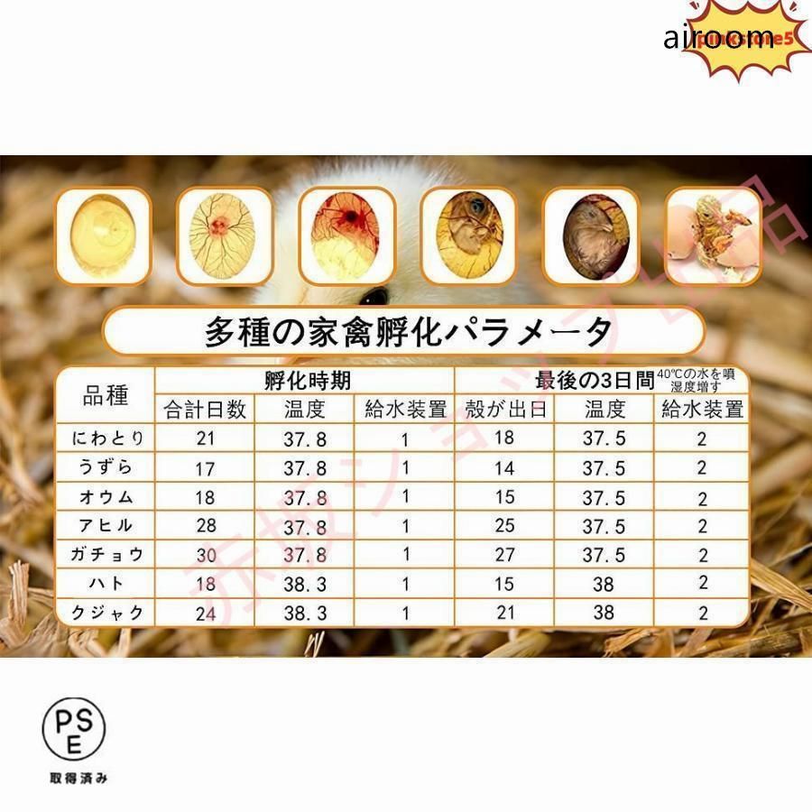 鶏卵 アヒル